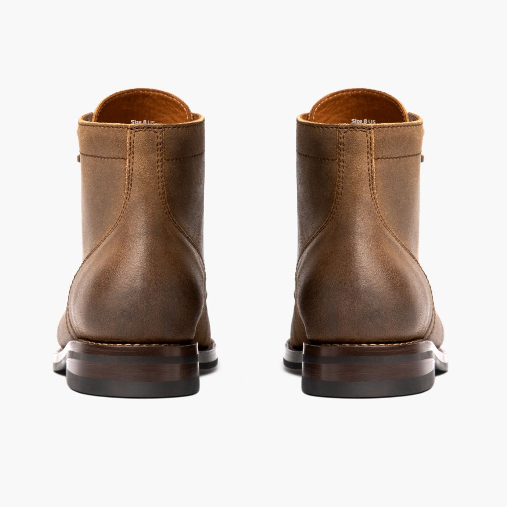 President | Safari - Image 5